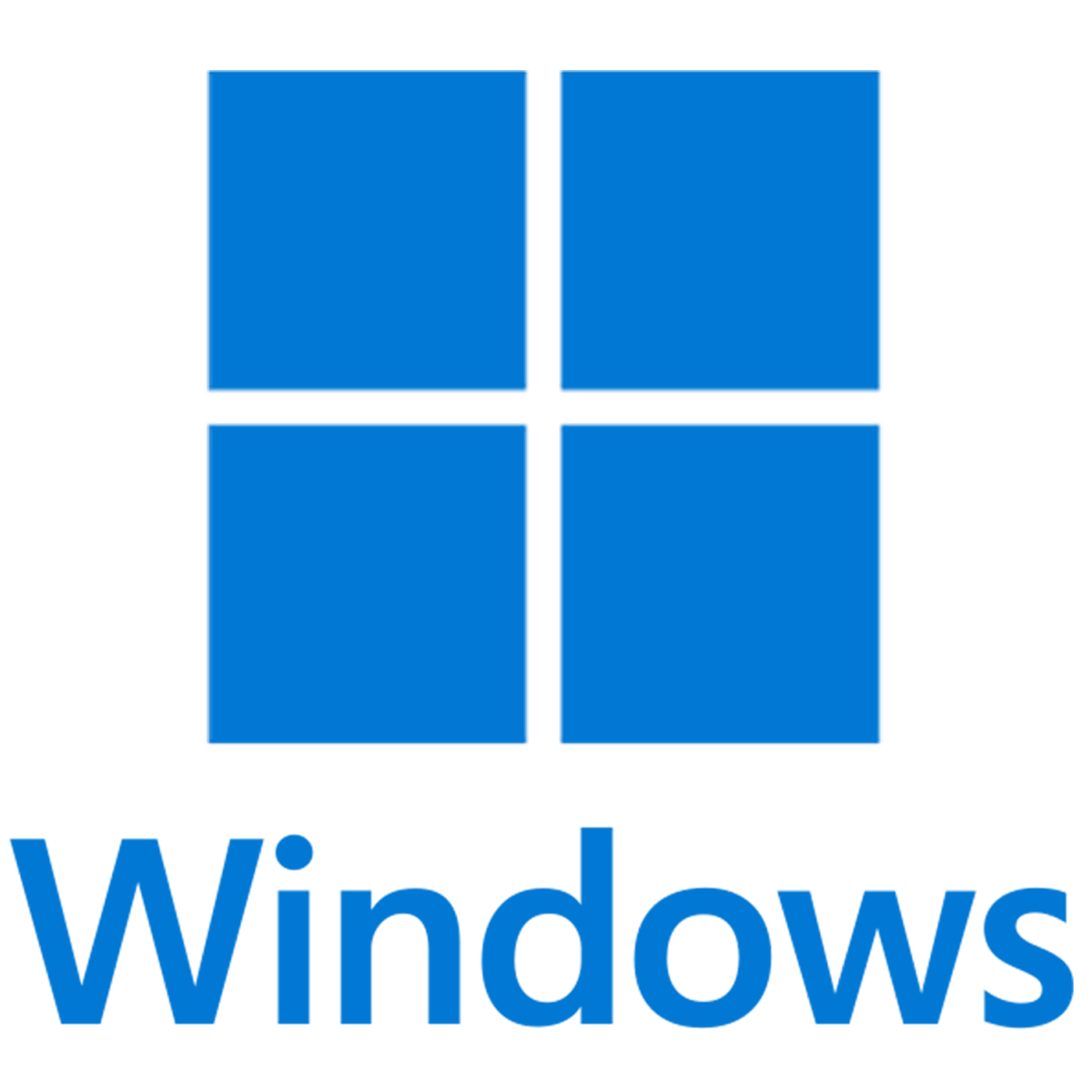 Windows® İşletim Sistemi Seçeneği